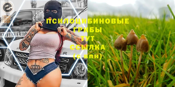 a pvp Аркадак