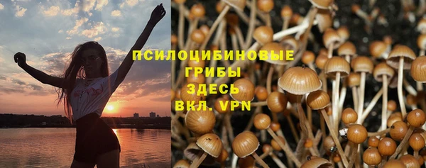 MESCALINE Арсеньев