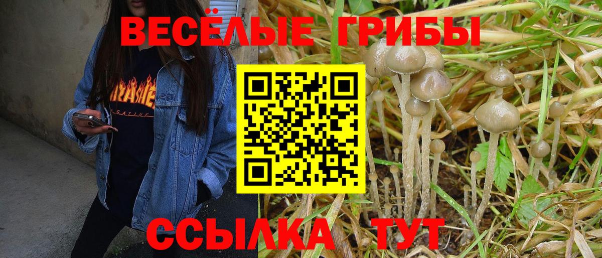 Волхов  Галлюциногенные грибы MAGIC MUSHROOMS  Вход с VPN  Псилоцибиновые грибы ЛСД 
