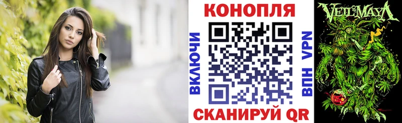 магазин  наркотиков  Волхов  Канабис OG Kush 