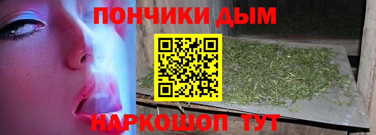 Каннабис семена  Вход с VPN  Волхов  Конопля сатива  Каннабис планчик  Шишки марихуана THC 21% 